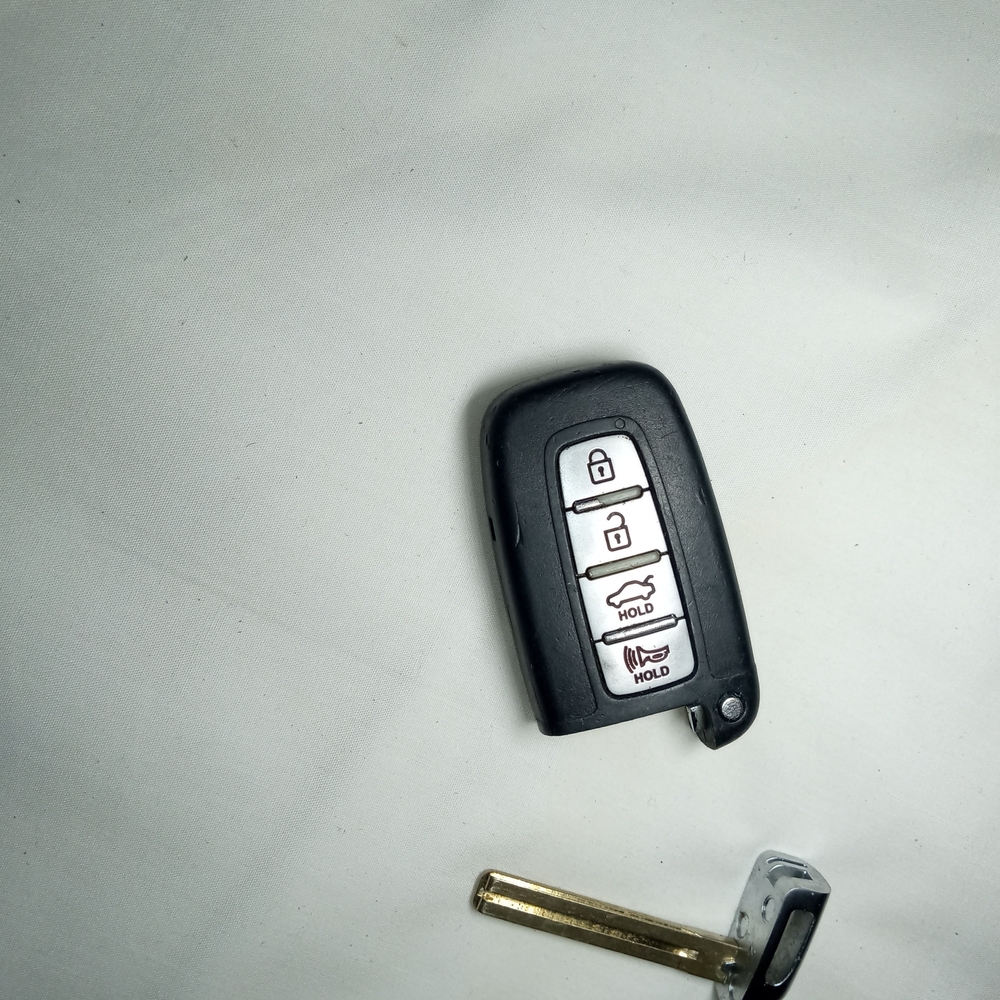Black Car Key Fob